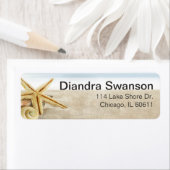 Sandy Beach Starfish Seashells (Insitu)