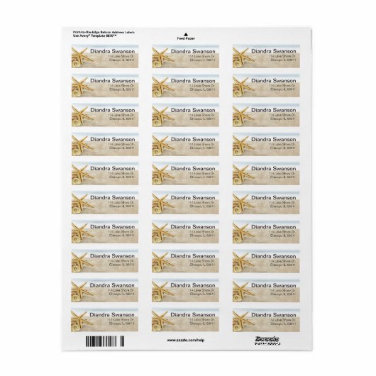 Sandy Beach Starfish Seashells (Vorne)