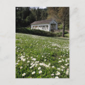 Sandy Cr. Covered Bridge Postkarte (Vorderseite)