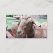 Sandy die Ziege am Tor Visitenkarte (Rückseite)