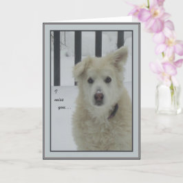*Sandy Dog - ich vermisse dich Karte