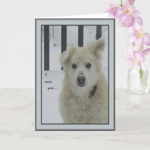 *Sandy Dog - ich vermisse dich Karte