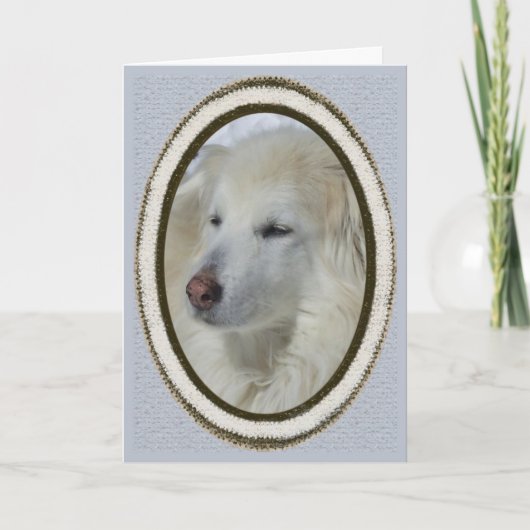 *Sandy Dog - Vermisst Sie Karte (Vorderseite)