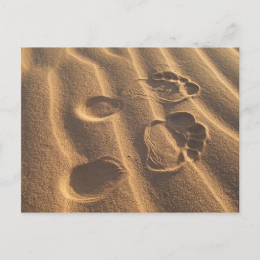 SANDY FEET POSTKARTE (Vorderseite)