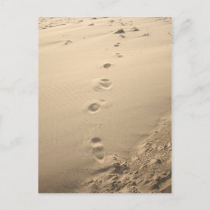 Sandy Footprints Postkarte