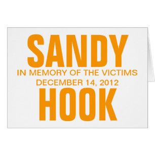 SANDY HOOK IM SPEICHER DER OPFER