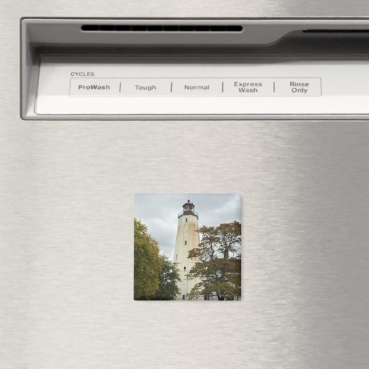 Sandy Hook Lighthouse Magnet (In Situ (Geschirrspüler))