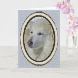 *Sandy Hund - Entschuldigung/Entschuldigung Karte