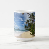 Sandy-Insel-Schale Kaffeetasse (Mittel)