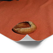 Sandy Luxury Poster (Ecke)