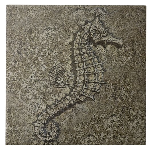 Sandy maserte Seepferd geänderte Fotografie Fliese (Vorderseite)