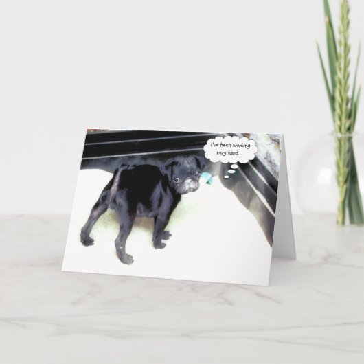 Sandy Mops Happy Birthday Grußkarte Karte (Vorderseite)