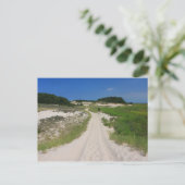 Sandy Neck Beach Marsh Trail Barnstable Cape Cod Postkarte (Stehend Vorderseite)