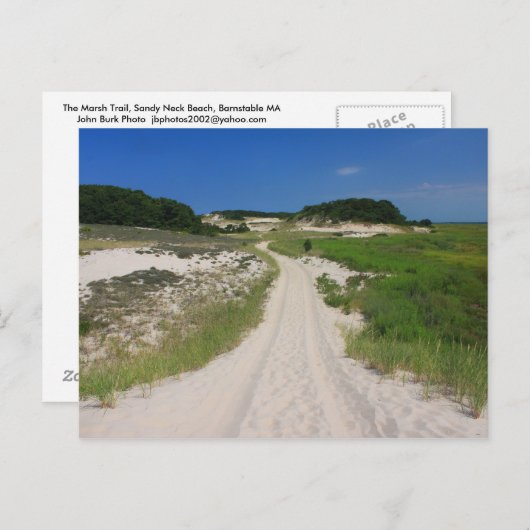 Sandy Neck Beach Marsh Trail Barnstable Cape Cod Postkarte (Vorne/Hinten)