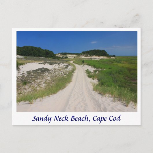 Sandy Neck Marsh Trail, Sandy Neck Beach, Cape Cod Postkarte (Vorderseite)