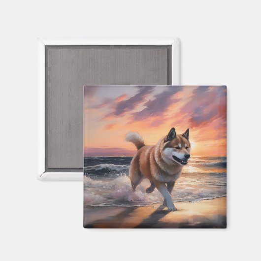 Sandy Paws Akita Dog auf Beach Sunset Magnet (Vorderseite/Rückseite)