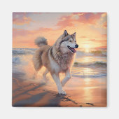 Sandy Paws Alaskan Malamute Dog on Beach Sunset Magnet (Vorne)