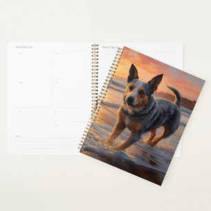 Sandy Paws Australian Cattle Dog am Strand Sonnenu Planer