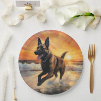 Sandy Paws Belgischer Malinois Hund auf Beach Suns