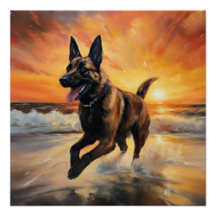 Sandy Paws Belgischer Malinois Hund auf Beach Suns Poster