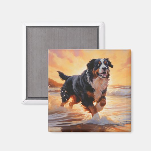 Sandy Paws Bernese Mountain Dog on Beach Sunset Magnet (Vorderseite/Rückseite)