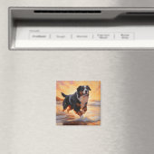Sandy Paws Bernese Mountain Dog on Beach Sunset Magnet (In Situ (Geschirrspüler))