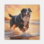 Sandy Paws Bernese Mountain Dog on Beach Sunset Magnet (Vorne)
