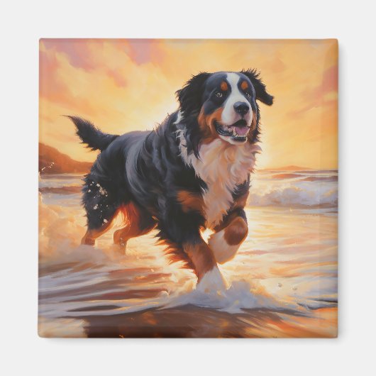 Sandy Paws Bernese Mountain Dog on Beach Sunset Magnet (Vorne)