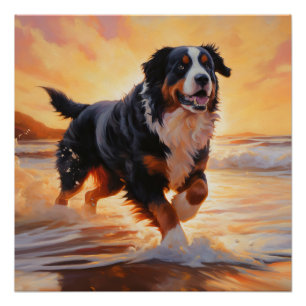 Sandy Paws Bernese Mountain Dog on Beach Sunset Poster