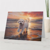 Sandy Paws Bichon Frise Dog on Beach Sunset Karte (Vorderseite)