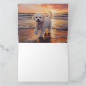 Sandy Paws Bichon Frise Dog on Beach Sunset Karte (Innenseite)