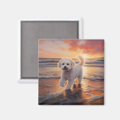 Sandy Paws Bichon Frise Dog on Beach Sunset Magnet (Vorderseite/Rückseite)