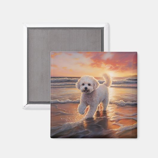 Sandy Paws Bichon Frise Dog on Beach Sunset Magnet (Vorderseite/Rückseite)