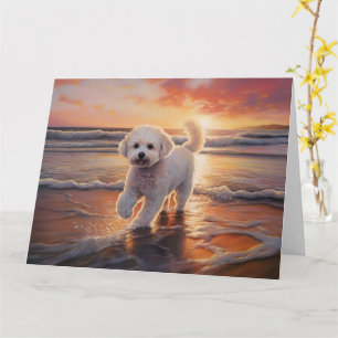 Sandy Paws Bichon Frise Hund am Strand Sonnenunter Karte