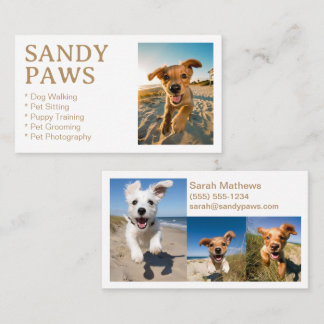 Sandy Paws Dog Walking Pet Fotografie wachsen Visitenkarte