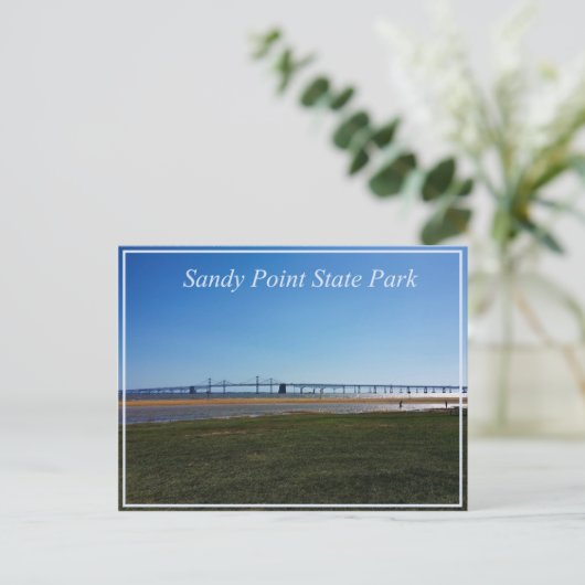 Sandy Point State Park Postkarte (Stehend Vorderseite)