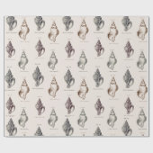 Sandy Shells Vintage Seaside Muster Geschenkpapie Geschenkpapier (Flach)