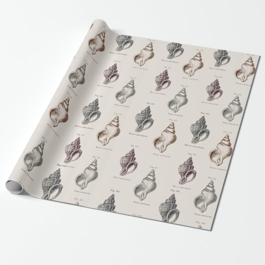 Sandy Shells Vintage Seaside Muster Geschenkpapie Geschenkpapier (Ungerollt)