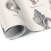 Sandy Shells Vintage Seaside Muster Geschenkpapie Geschenkpapier (Rolleneckpunkt)