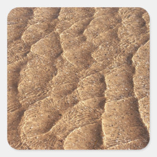 Sandy-Sticker Quadratischer Aufkleber
