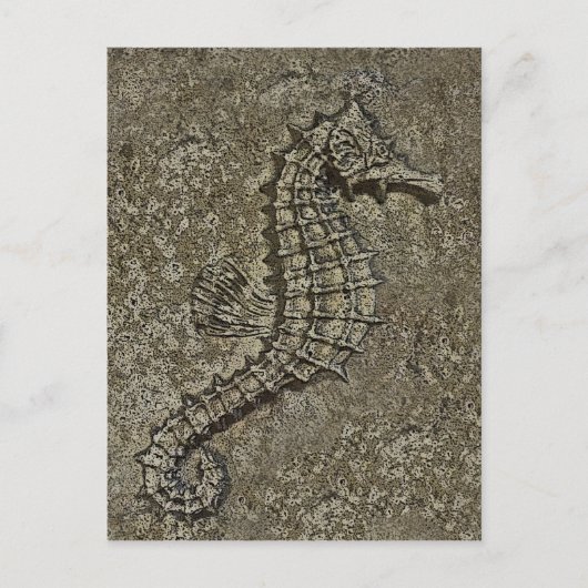 Sandy Textured Seepferd Fotograf Postkarte (Vorderseite)