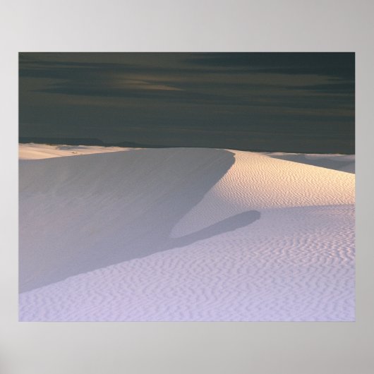 Sandy Wappen Poster (Vorne)