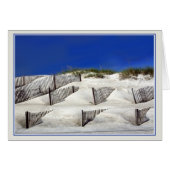 Sandzäune (Vorderseite (Horizontal))