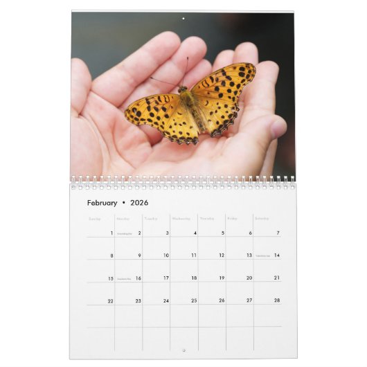 sanft 12 Monate Kalender (Feb 2026)