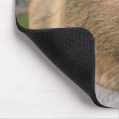 Sanfte, Agouti-Guinea Schweine und rosa Blume Mousepad (Ecke)