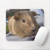 Sanfte, Agouti-Guinea Schweine und rosa Blume Mousepad (Mit Mouse)