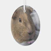 Sanfte, Agouti-Guinea Schweine und rosa Blume Ornament Aus Glas (Vorderseite links)