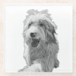 Sanfte Augen, feste Oberfläche – monochromes Hunde Glasuntersetzer