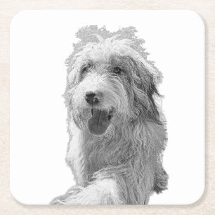 Sanfte Augen, solide Oberfläche – monochromes Hund Rechteckiger Pappuntersetzer