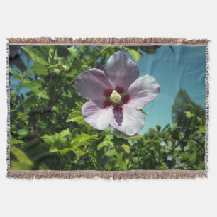 "Sanfte Blüten: Malvenfarbene Hibiskusblüte an ein Decke